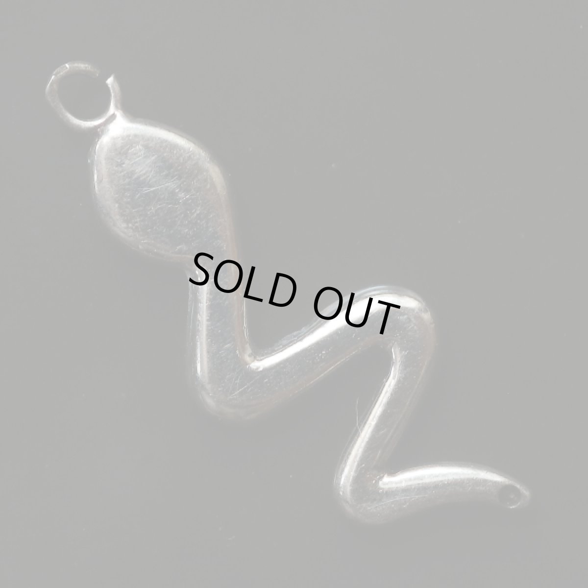 画像3: 英国 シルバー 蛇 幸運を招く ラッキーチャーム アンティークチャーム アクセサリー (3)