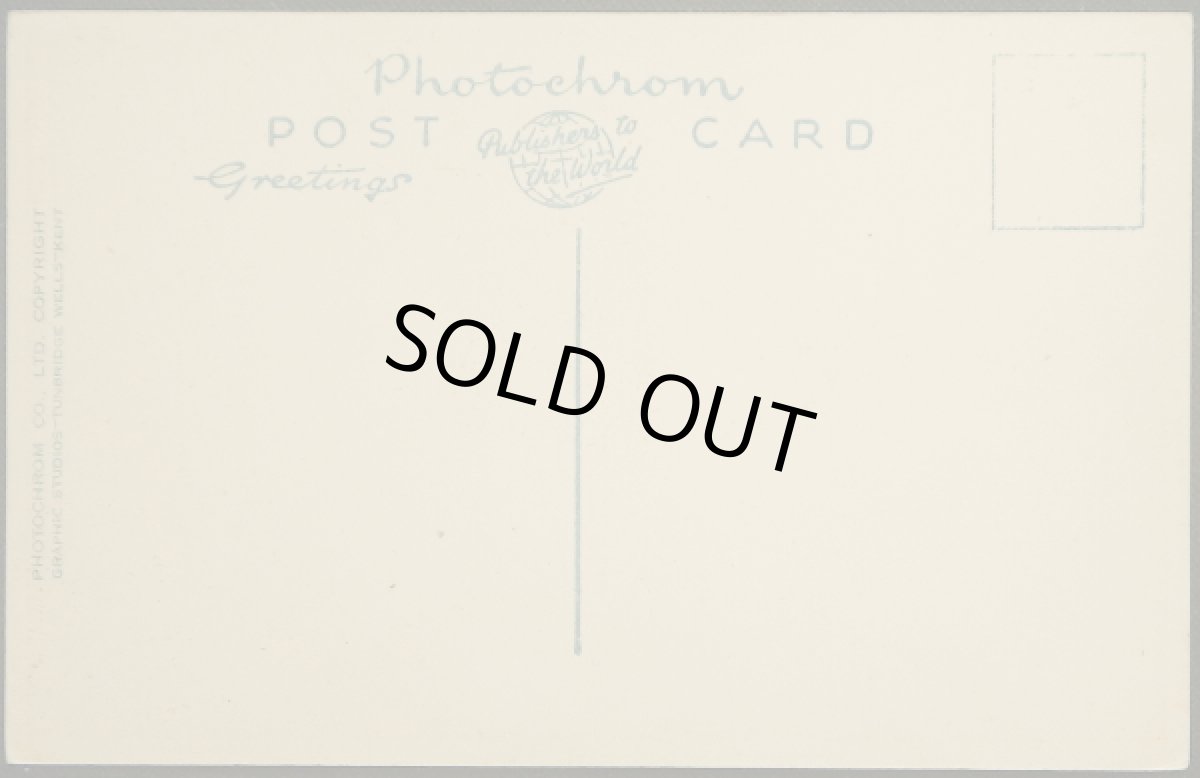 画像2: イギリス アンティークポストカード バスケットに立つ仔犬 セピア写真 (2)