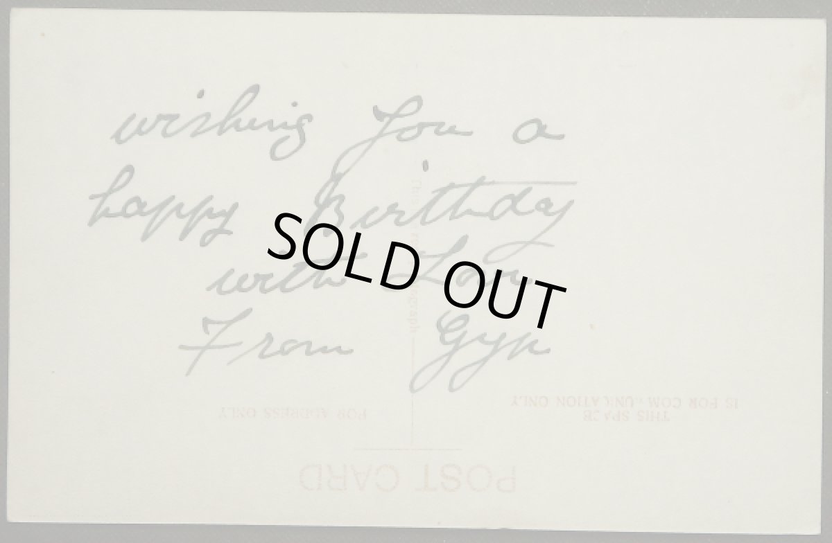 画像2: イギリス アンティークポストカード セントバーナード犬と2匹の猫 バースディ 誕生日 (2)