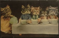 画像1: イギリス アンティークポストカード みんな並んでお食事タイム 可愛いネコたち (1)