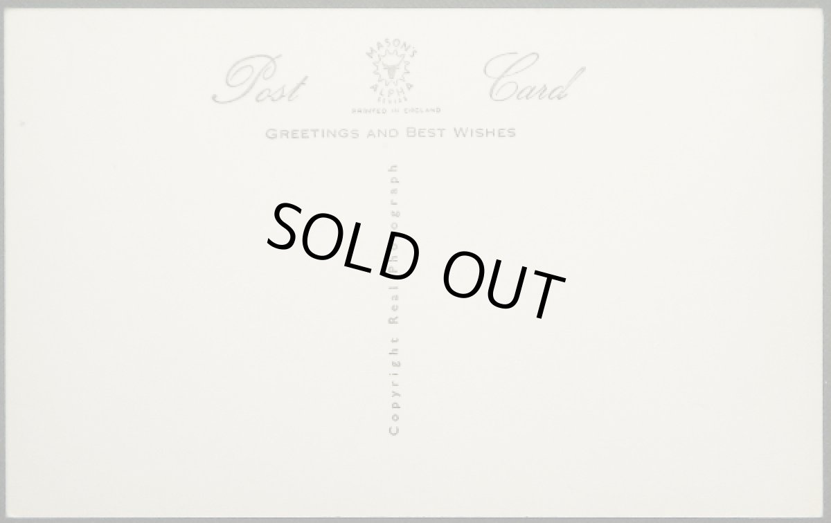 画像2: イギリス アンティークポストカード 食器洗いをするネコちゃん (2)