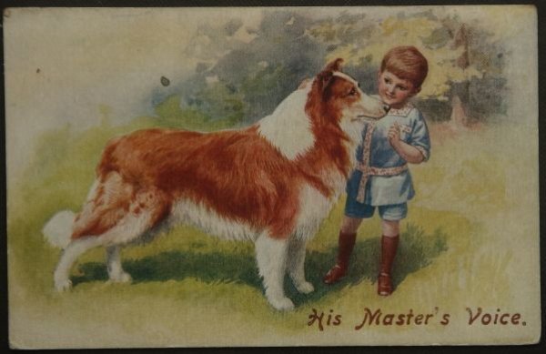 イギリス アンティークポストカード コリー犬とかわいい男の子