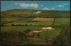 画像1: イギリス アンティークポストカード WEYMOUTH ウェーマスの騎馬像 (1)