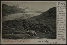 画像1: イギリス  アンティークポストカード Schafherde am Findelengletscher (1)