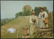 画像1: イギリス アンティークポストカード ワインフェスティバル1977  (1)