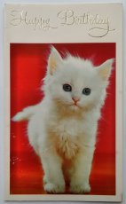 画像1: イギリス ヴィンテージ キュートな白い仔猫 バースデーカード (1)