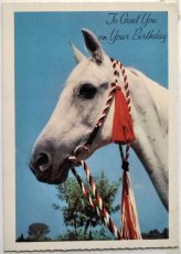 画像1: イギリス ヴィンテージ  赤い手綱の白馬 バースデーカード (1)