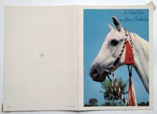 画像3: イギリス ヴィンテージ  赤い手綱の白馬 バースデーカード (3)