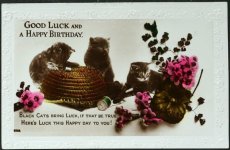 画像1: イギリス アンティークポストカード 黒い仔猫のバースデーカード (1)