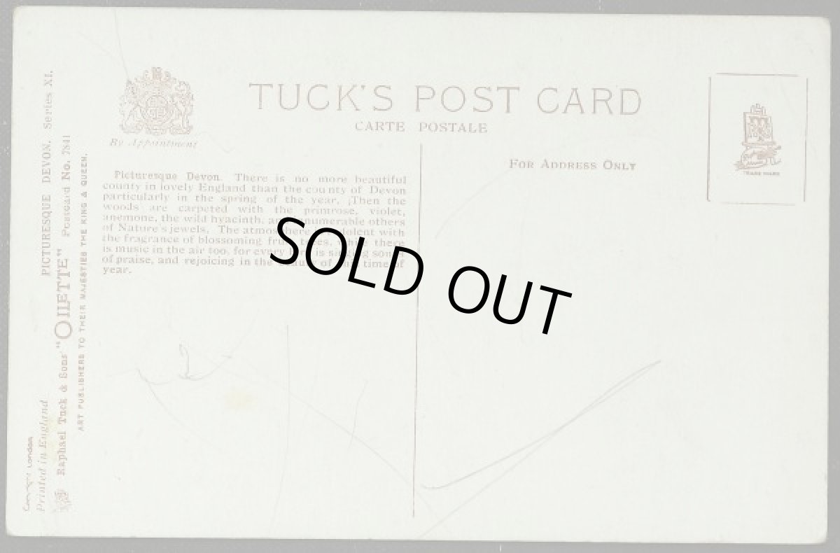 画像2: イギリス アンティークポストカード デボンの夕暮れ (2)