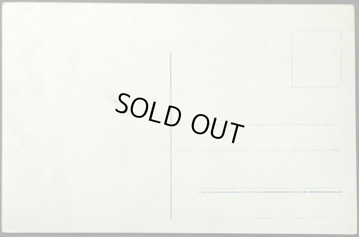 画像2: イギリス アンティーク ポストカード 黄色いお花と一緒に。美しい 少女 (2)