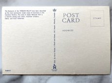 画像2: カナダ 海外ヴィンテージポストカード トンキン・バレー アニマル動物 レトロポストカード通販 古いアンティークはがき (2)