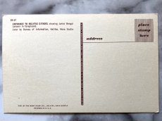 画像2: カナダ 海外ヴィンテージポストカード リファックスエントランス アニマル動物 レトロポストカード通販 古いアンティークはがき (2)