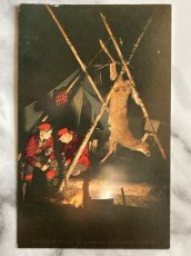 画像1: カナダ 海外ヴィンテージポストカード オンタリオ州スタージョンフォールズの猟師と鹿 アニマル動物 レトロポストカード通販 古いアンティークはがき (1)