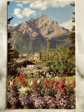 画像1: カナダ 海外ヴィンテージポストカード カスケード山 バンフ国立公園 レトロポストカード通販 古いアンティークはがき (1)