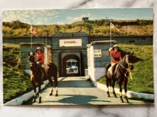 画像1: カナダ 海外ヴィンテージポストカード リファックスエントランス アニマル動物 レトロポストカード通販 古いアンティークはがき (1)