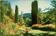 画像1: 1960年 消印 切手 海外ヴィンテージポストカード ブッチャート・ガーデン The Butchart Gardens 世界のアンティーク絵葉書 昔のポストカード (1)