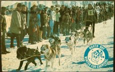 画像2: 1973年消印 切手 海外ヴィンテージポストカード WINTER FUB CARNIVAL 犬ぞり 世界のアンティーク絵葉書 昔のポストカード (2)