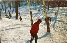 画像1: 消印 切手 海外ヴィンテージポストカード MOUNT ROYAL マウントロイヤル スキー 世界のアンティーク絵葉書 昔のポストカード (1)