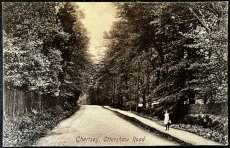 画像1: イギリス 1907年 SP 26 07 消印・切手あり アンティークポストカード Chertsey, Otterahaw Road (1)