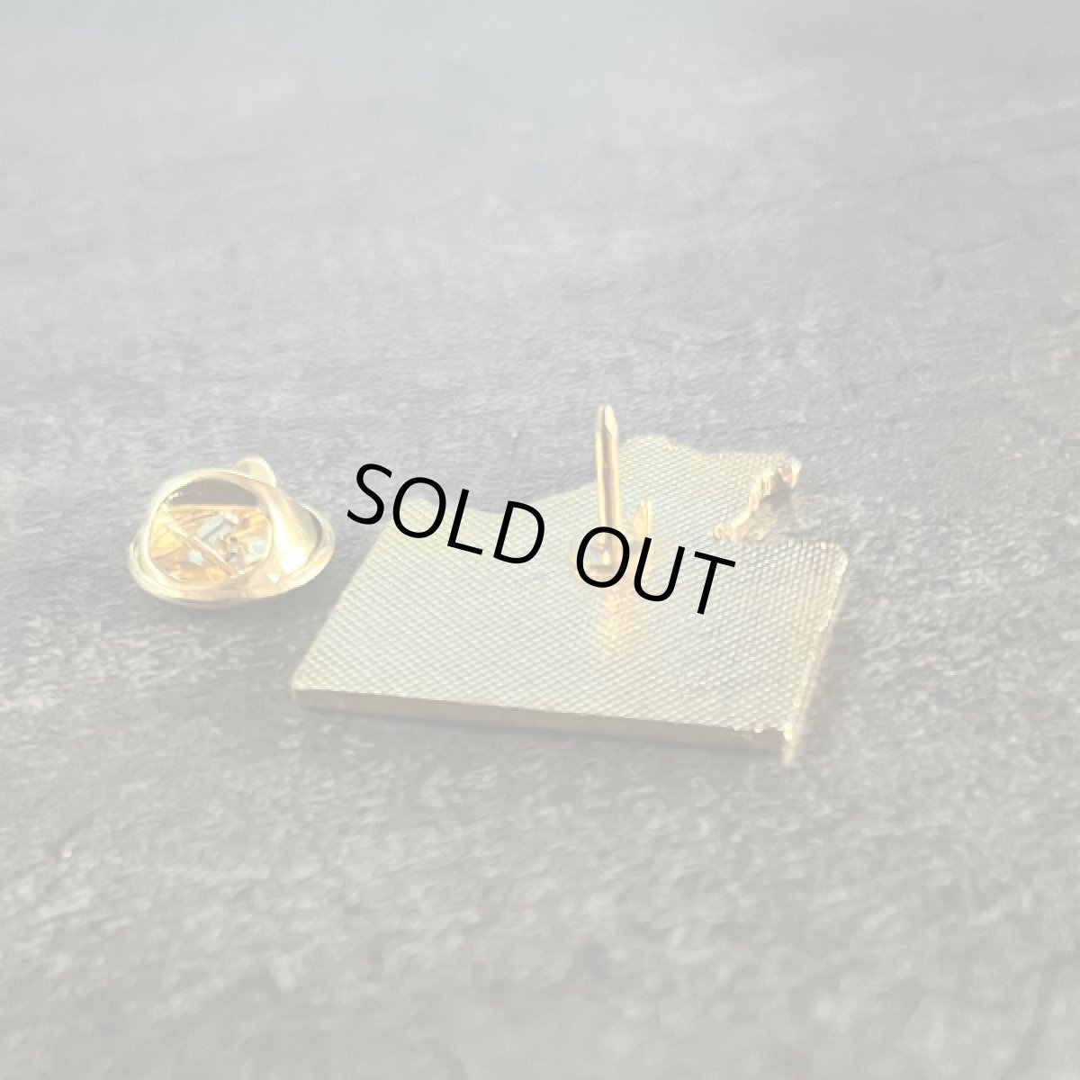 画像3: フランス ヴィンテージ ピンバッジ ラクダ CORA (3)