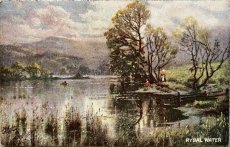 画像1: フランス アンティークポストカード RYDAL WATER (1)