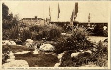 画像1: 英国 ロンドン アンティークポストカード THE HANGING GARDEN OF LONDON SELFRIDGES. LILY POND (1)