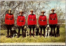 画像1: 海外ヴィンテージポストカード カナダ警察犬 Canadian Mounted Police DOG いぬハガキ 世界の絵葉書 (1)