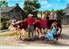 画像1: 海外ヴィンテージポストカード 牛と牛車と女の子 Upper Canada Village 動物ハガキ 世界の絵葉書 オンタリオ カナダ EY2029 (1)