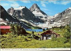 画像1: 海外ヴィンテージポストカード マウントアシニボイン Mt.Assiniboine 小屋と馬 動物ハガキ 世界の絵葉書 カナダ (1)