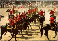 画像1: 海外ヴィンテージポストカード 王立カナダ騎馬警察 ミュージカルライド RCMP MUSICAL RIDE 動物ハガキ 世界の絵葉書 カナダ (1)