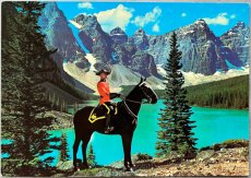 画像1: 海外ヴィンテージポストカード 王立カナダ騎馬警察 Royal Canadian Mounted Police 動物ハガキ 世界の絵葉書 カナダ (1)