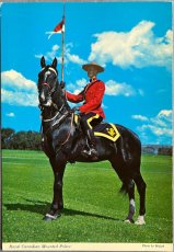 画像1: 海外ヴィンテージポストカード 王立カナダ騎馬警察 Canadian Mounted Police 動物ハガキ 世界の絵葉書 カナダ EY2068 (1)