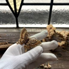 画像17: 英国 蝶々 ヴィンテージブローチ「願いを照らす、琥珀色の羽」 蝶モチーフ バタフライ 昆虫アクセサリー (17)