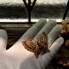 画像16: 英国 蝶々 ヴィンテージブローチ「願いを照らす、琥珀色の羽」 蝶モチーフ バタフライ 昆虫アクセサリー (16)
