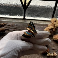画像16: 英国 「色彩の詩（うた）をまとった旅人」蝶々 ヴィンテージブローチ  バタフライ 昆虫アクセサリー (16)