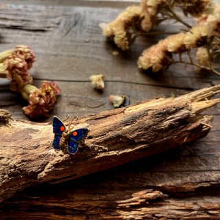 女性のアクセサリーのためのヴィンテージ昆虫ブローチ7つ星