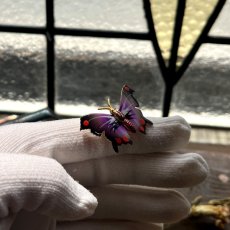 画像13: イギリスヴィンテージ「静かな夜に、魔法を運ぶ翼」蝶ブローチ 蝶モチーフ バタフライ 昆虫アクセサリー (13)