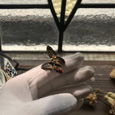 画像13: 英国「光の羽音に導かれて」アゲハ蝶 ヴィンテージブローチ 蝶モチーフ  昆虫アクセサリー (13)
