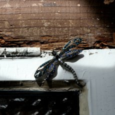 画像3: 英国 ヴィンテージブローチ「夢を運ぶ、蒼の羽音」青いトンボブローチ 運気の上昇 ドラゴンフライ 昆虫アクセサリー (3)