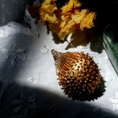 画像4: 1960〜70年代 英国 ヴィンテージ ハリネズミブローチ「ひだまりの宝物」イギリス アクセサリー (4)