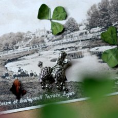 画像3: 英国 1940年頃ヴィンテージ マルカジット プードル犬 ブローチ「影をまとって、光を連れて」イギリス アクセサリー (3)