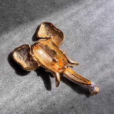 画像9: 英国ヴィンテージ クリスタル象ブローチ  幸運の鼓動を胸に (9)