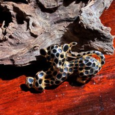 画像2: 英国ヴィンテージ 豹ブローチ刻印1953　気品と静寂を纏うブラックエナメルの輝き (2)