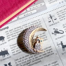 画像4: 英国ヴィンテージブローチ｜刻印BJ フクロウと月のクリスタルブローチ 知恵と幸福を運ぶ守護の鳥 (4)