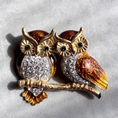画像5: 英国ヴィンテージ・エナメルブローチ　寄り添う2羽のフクロウ  (5)