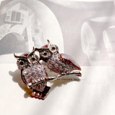 画像1: 星降る夜、寄り添うふたり 英国ヴィンテージ・フクロウブローチ (1)