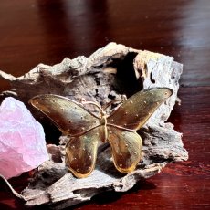 画像7: 英国ヴィンテージブローチ｜ゴールド蝶 モチーフ 優雅に舞うクラシックジュエリー (7)