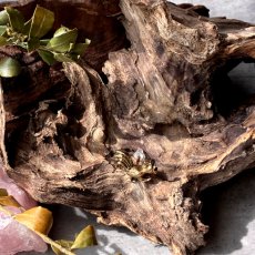 画像2: 朝の光を運ぶ英国ヴィンテージの鶏ブローチ ― 祝福を告げる小さな晴れやかさ (2)