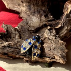 画像3: 夜明けのしずくをまとう幸運の羽音——英国ヴィンテージ テントウムシブローチ (3)